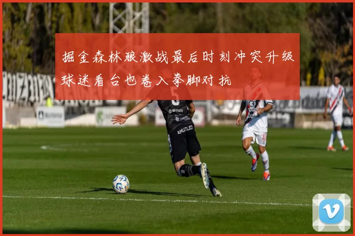 掘金森林狼激战最后时刻冲突升级球迷看台也卷入拳脚对抗